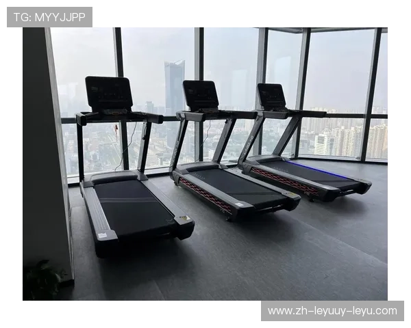 德国健身器材哪里买?进口体育器材购买指南与推荐 德国健身器材哪里买?进口体育器材购买指南与推荐