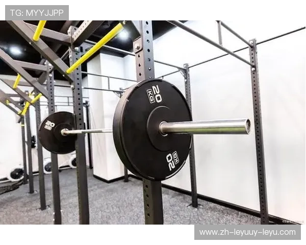 社区健身器材哪个好?耐用性与功能性对比 社区健身器材哪个好?耐用性与功能性对比