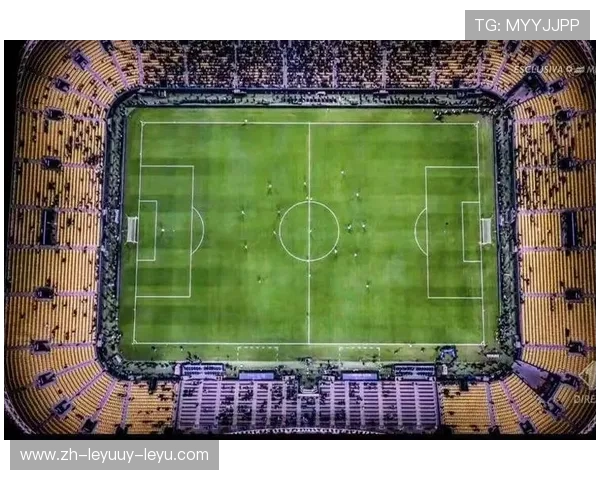 意甲球队主场球场内部设施与看台布局图集