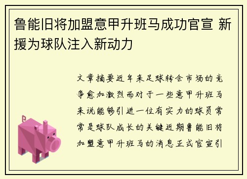 鲁能旧将加盟意甲升班马成功官宣 新援为球队注入新动力